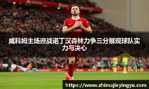 乐鱼电竞官网